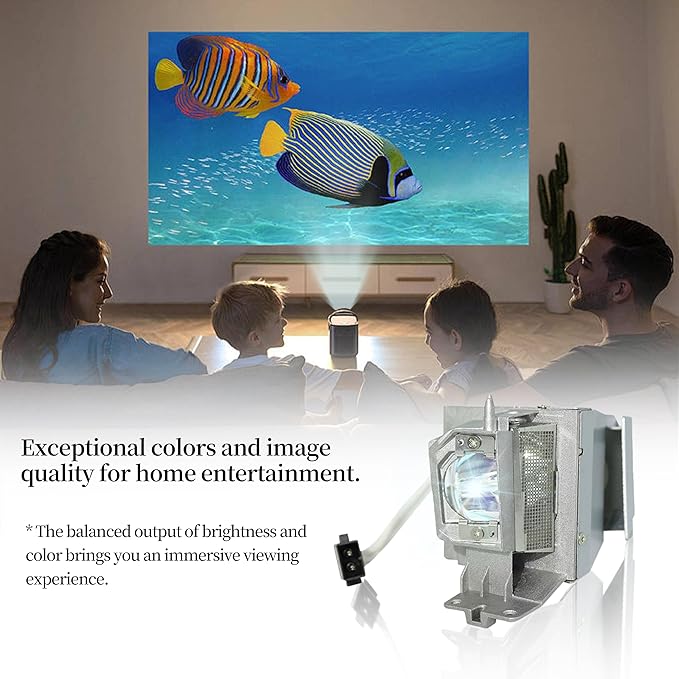 SORNEICDR Replacement Projector Lamp Bulb