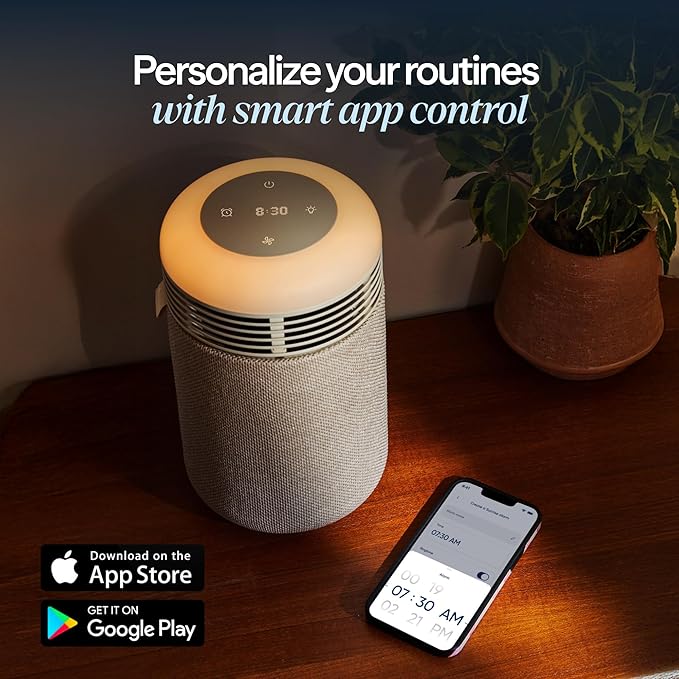 BLUEAIR Purifier for Bedroom