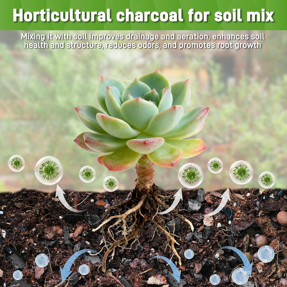 9QT Horticultural Charcoal for Plants