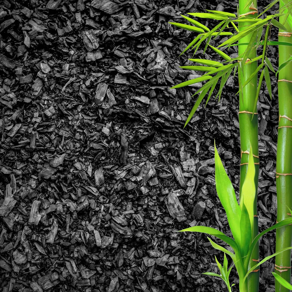 GARDENWISE Horticultural Charcoal for Plants – Organic Bio Char Soil Amendmen...